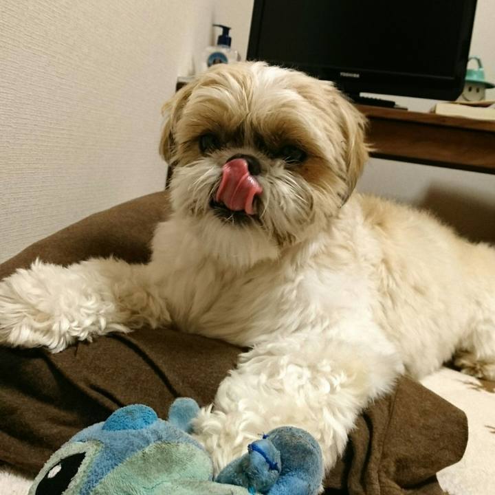 C4f173de 2c1c 407c 8e77 f7dfefefe0a3 1545490093567