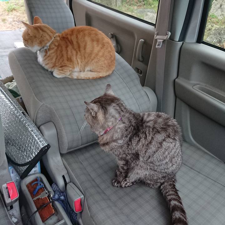 C4f1c7b0 0da0 48b8 87bd 6857d00d4065 1592857766294