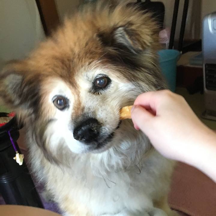 C4f1d0b1 d7f5 4392 94f4 80e6ebfc4488 1603244233553