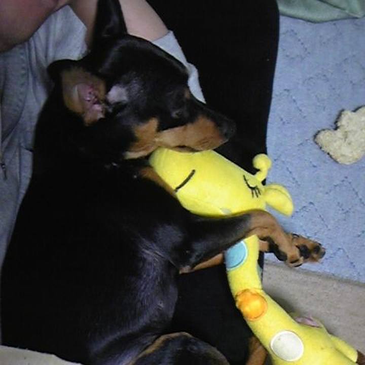 C4f20723 ba83 489f ba93 5166a579abe8 1770794206098