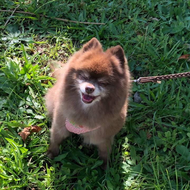 C4f25be4 bd2d 4ec3 9405 23fa558f0dba 1570368575912