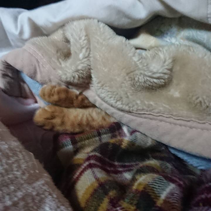 C4f2675a 09d7 414c a106 519d48a433c0 1652219259574