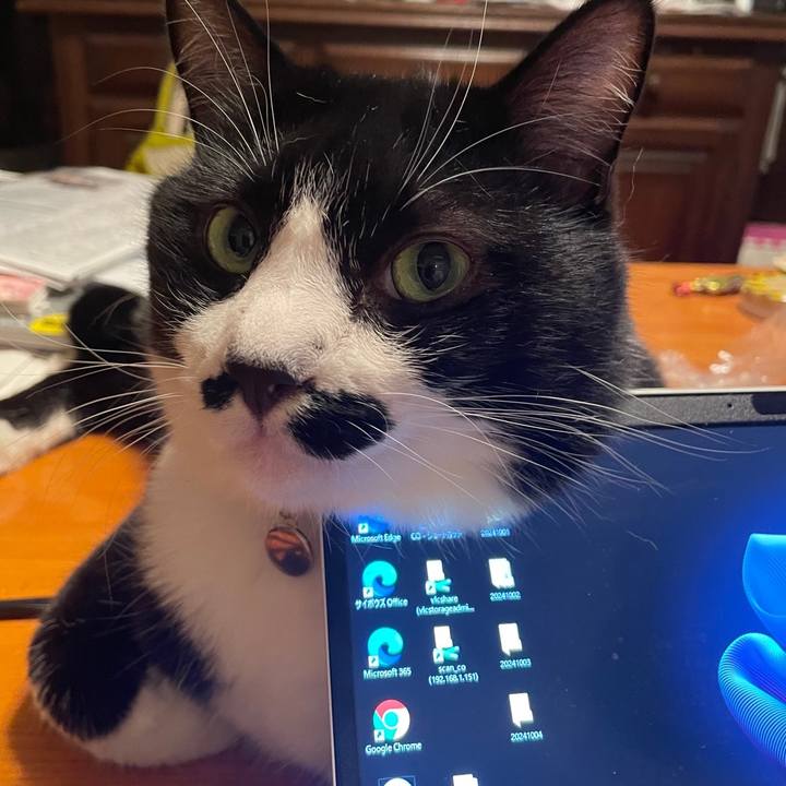 C4f26d45 d196 4006 badb 4456363f0eea 1727526782963