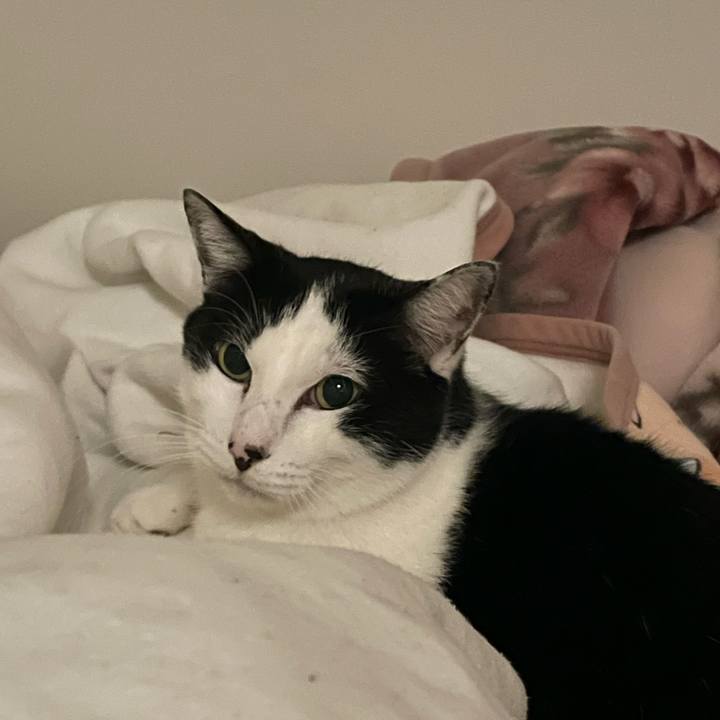 C4f26f36 d00e 4652 83e1 2d6213eb0e59 1677955561740