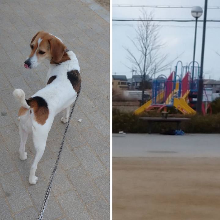 C4f29535 8345 4f30 8572 78be6c5ee168 1610952200021