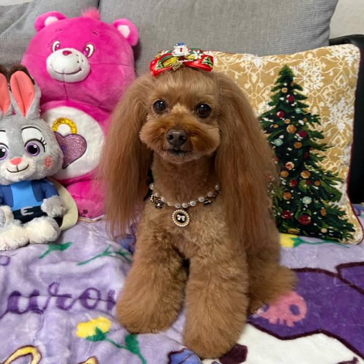 C4f29c50 463b 4ae3 a203 3c771159ce73 1764821822858