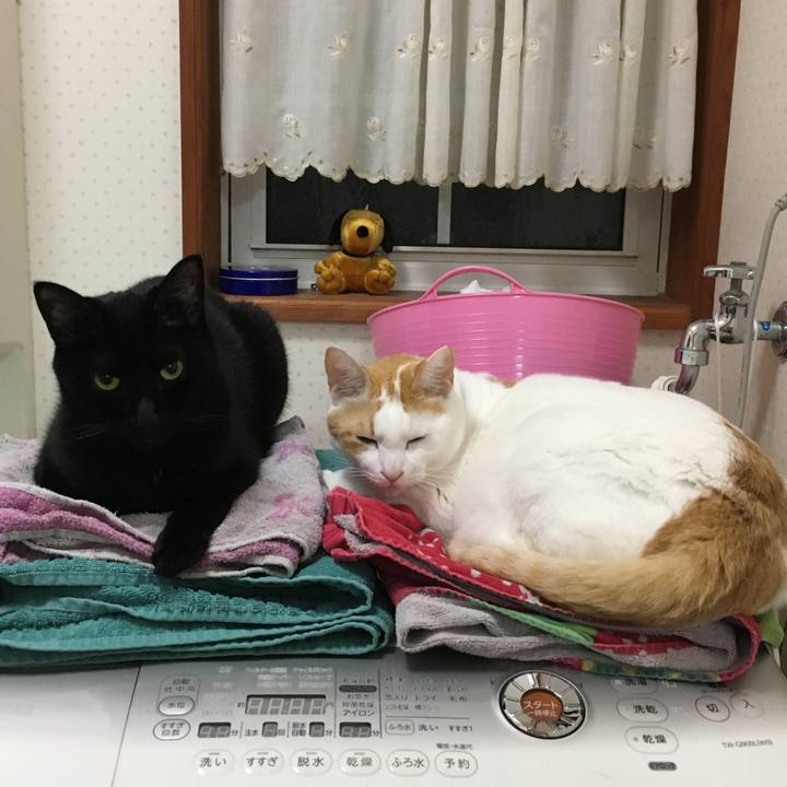 C4f2a5c1 e937 4ae6 a6b4 960b7d66c6b4 1544182151787