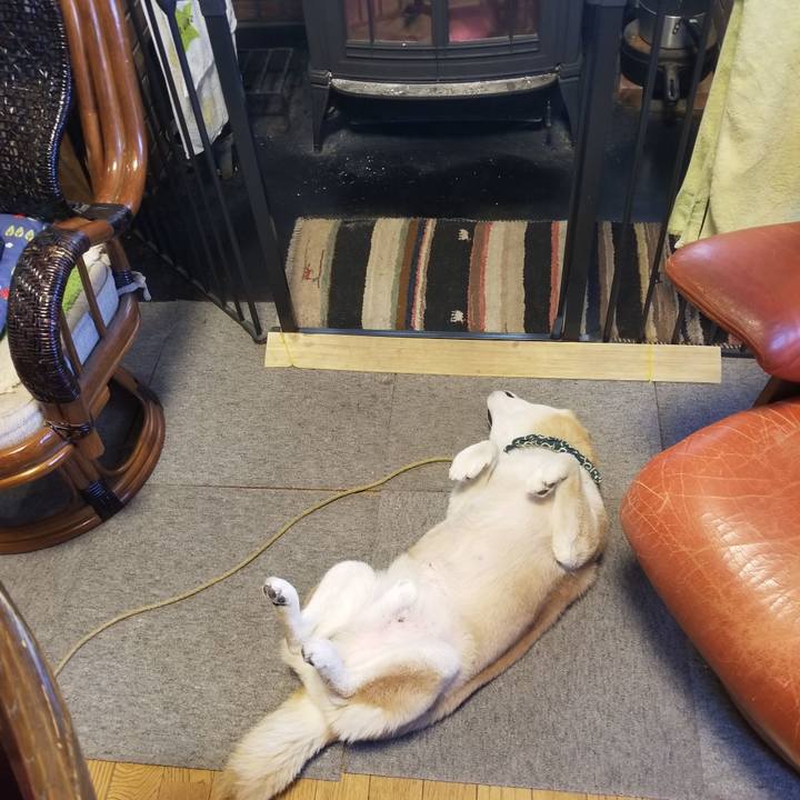 C4f2aa6f 1e96 4e4a 95c9 b70ee61f2a59 1705188984757