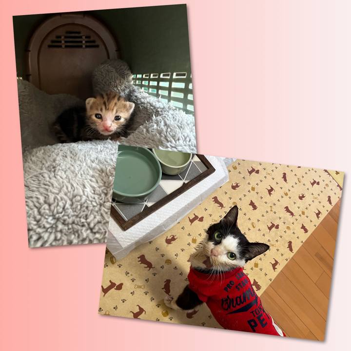 C4f30094 6bd5 49fe 8929 4c22c3bc63f7 1704004402182