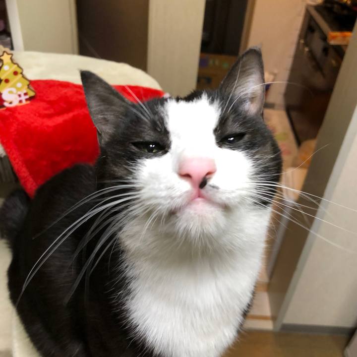 C4f3031d d0d3 41de 9521 9dc4777f0373 1545650767721