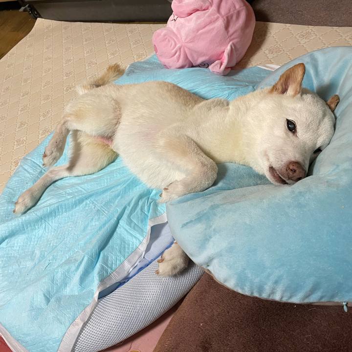 C4f333d3 02c8 4b23 a1e0 42a97628a7a1 1664019370134