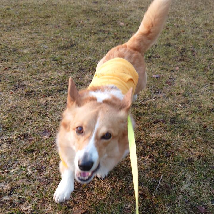 C4f35703 0349 4272 8377 4a9e828981bf 1774828179584