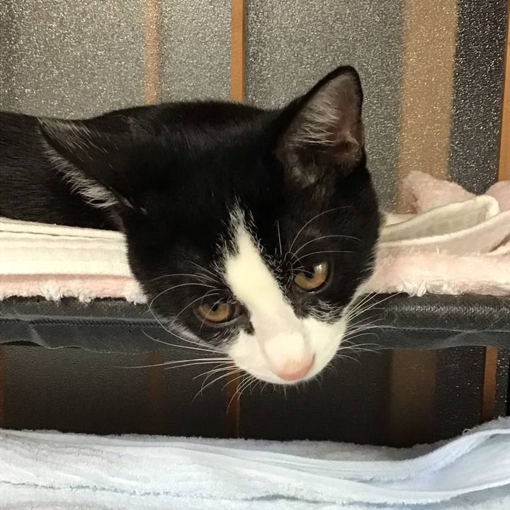 C4f396b1 637d 4387 99a2 07b2742c31bf 1631692502478