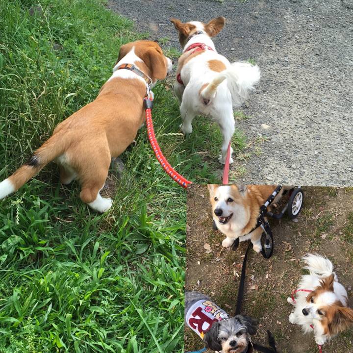 C4f3d54a 0b2f 4236 b50f 2256214ed1db 1593825689691