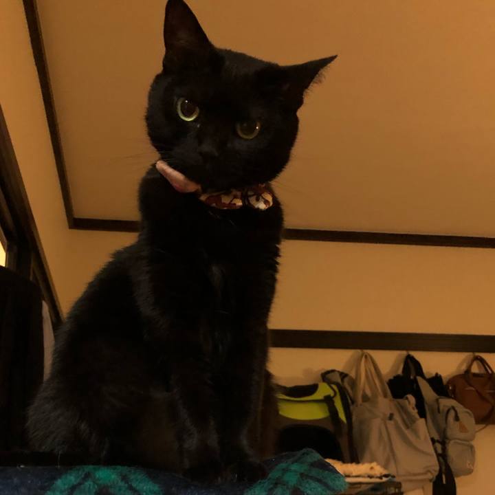 C4f437cf 6c7b 4933 8f9d e44e99a8ee38 1589545157956