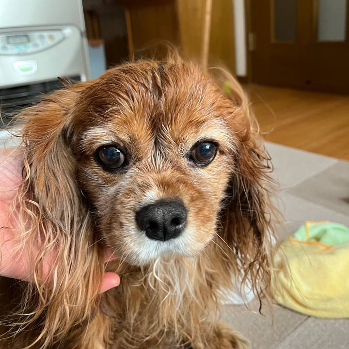 C4f448c3 7b15 4961 b36d 7c33e38afecc 1736035742399