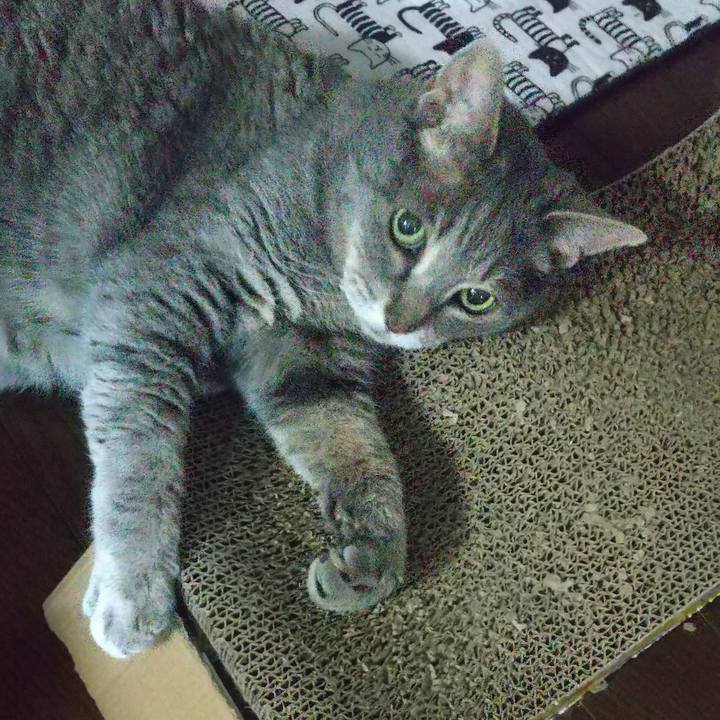 C4f4590e 7b7f 4e5d b381 d4769b755188 1655886894487