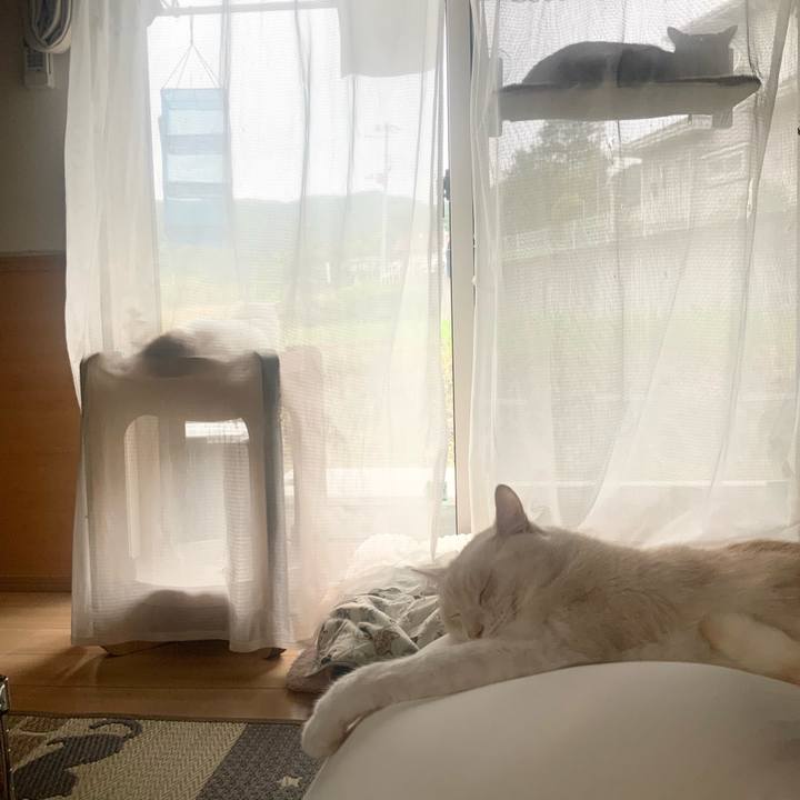 C4f47704 6cb2 4e09 85ff 25abd2c804e8 1752452117216