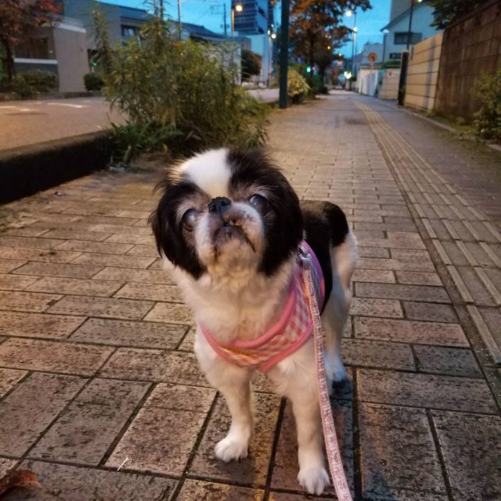 C4f47b38 e3c8 49d1 993c 554776a6f140 1602194130279