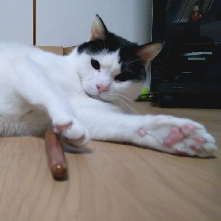 C4f48585 660f 4a4b 91ed 48f865f24c59 1548418487835