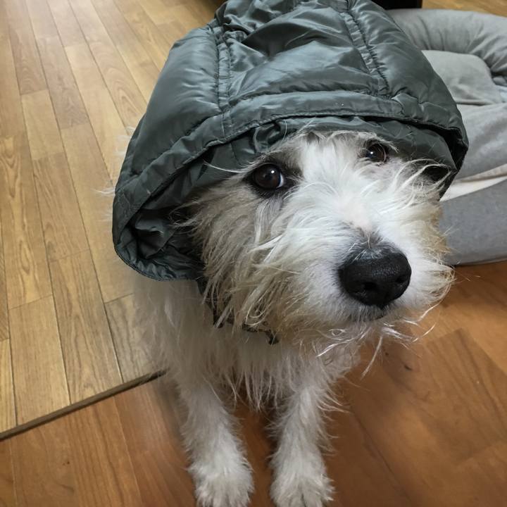 C4f4ea1f 10fe 48a7 8350 7af93d993722 1552639287613