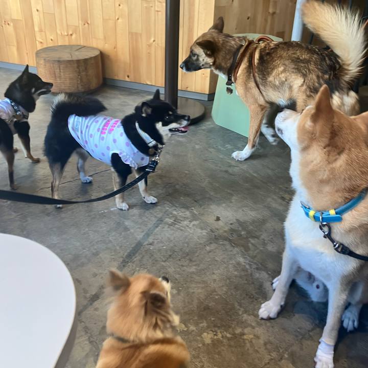 C4f501c1 3bf3 41a4 808f ae474f08a772 1753194261757