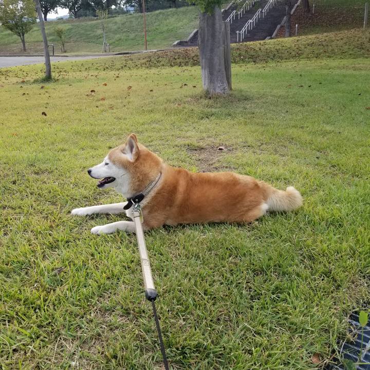 C4f52665 cf38 4223 ab2c 0a46bc69e0de 1695625176002