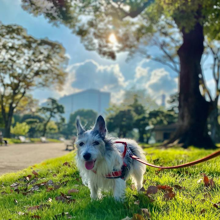 C4f52f2c a8c2 4579 9699 d4b5707f5ab7 1633963570246