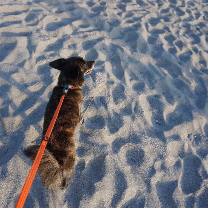 C4f52f52 4c05 4966 a480 ce5ba31bba8a 1564703600768