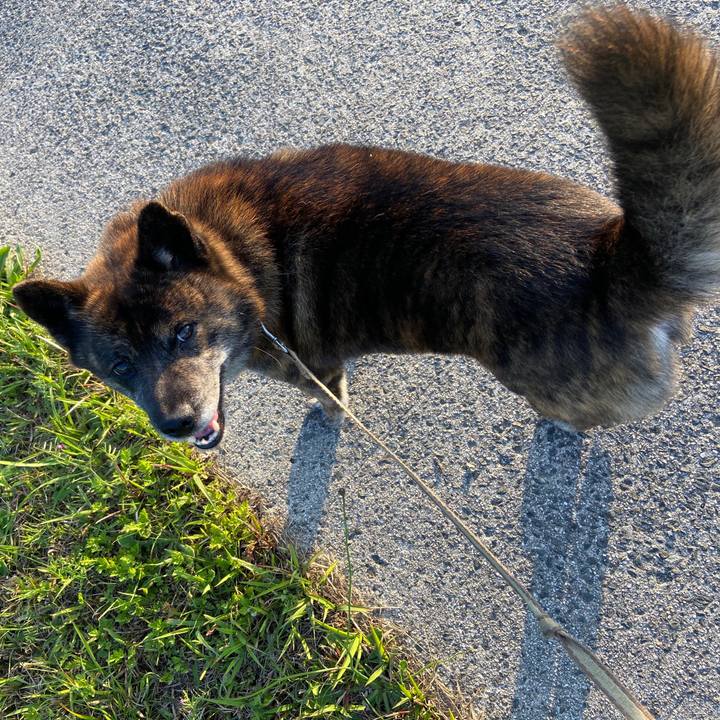 C4f547a4 d284 4819 9341 88f5df007443 1590234067414