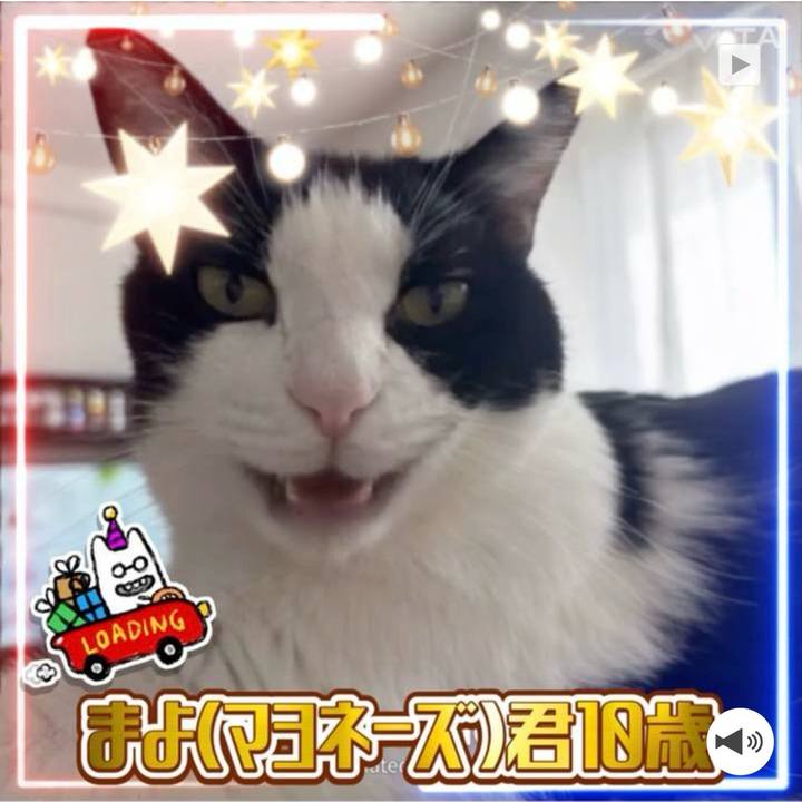 C4f54d8d 46e9 4632 a470 a0327fcce317 1759575967601