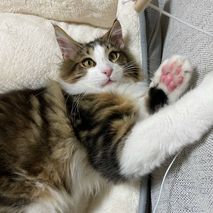 C4f54fd3 85a7 465c 911c 6a65fa37421f 1636458431897