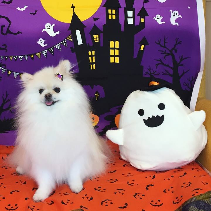 C4f57117 f2ea 4607 b019 1a492f42dc4f 1603343450490