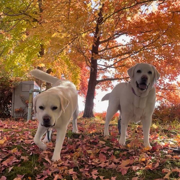 C4f57949 d939 4970 8f0c 494cda8b89e5 1764223300781