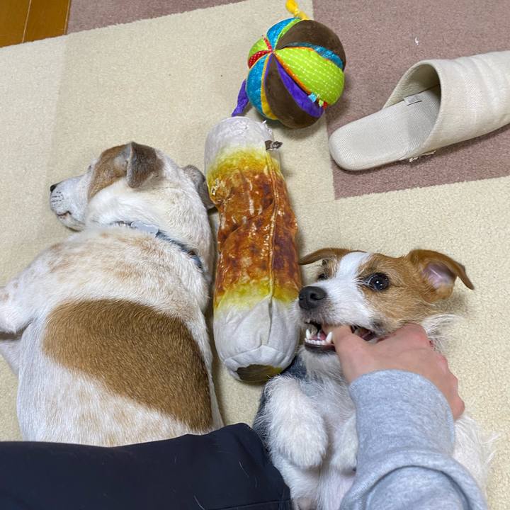 C4f5901b af1d 4d8c 9b2d 184e0d0f243a 1642235373446