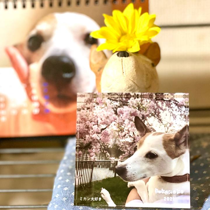 C4f5903e 7ce4 4045 b778 376802c25ce8 1621514190616