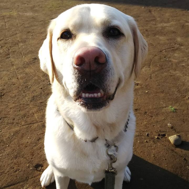 C4f5bb5a bba5 4c42 b1c3 dd7972bc9039 1553590168435