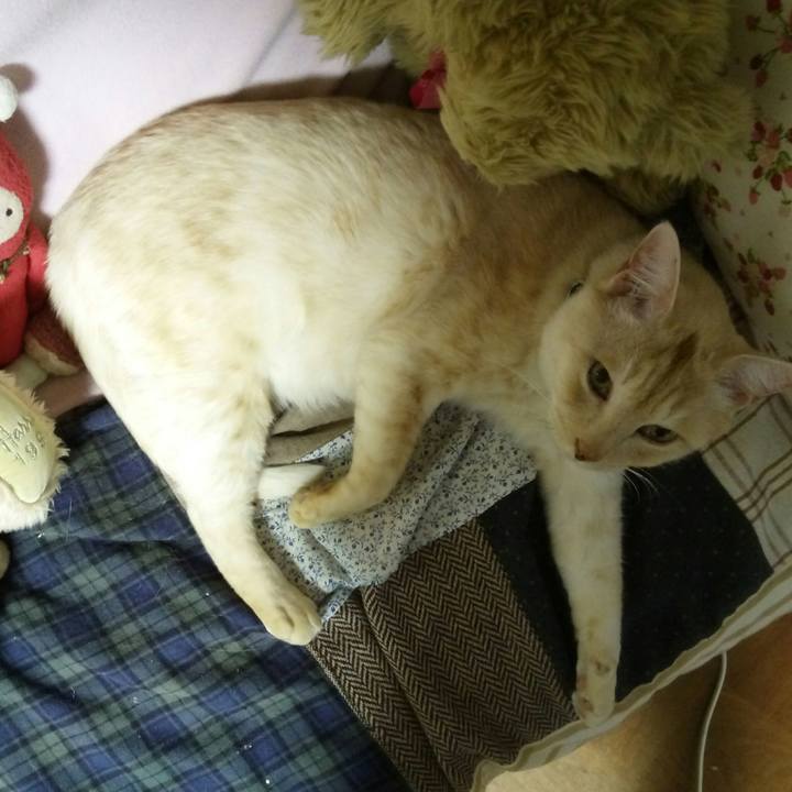 C4f5c017 b4a8 4f02 862d 09eb718cdab9 1515415530555