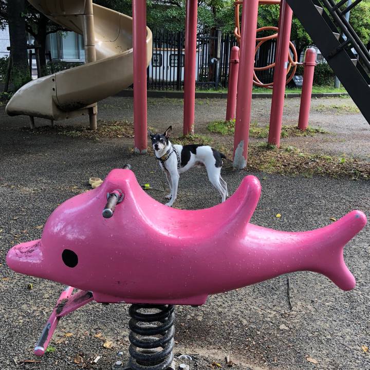 C4f5de6a 0ae0 4356 a44e f885568a5c93 1528501867878