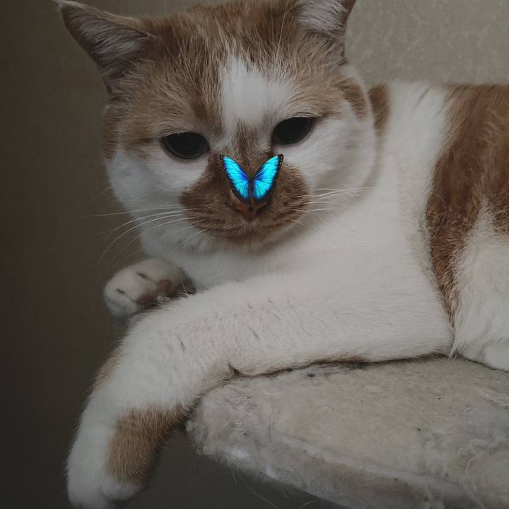 C4f5f8f1 b145 4700 8116 b0d6d5963668 1582524691506