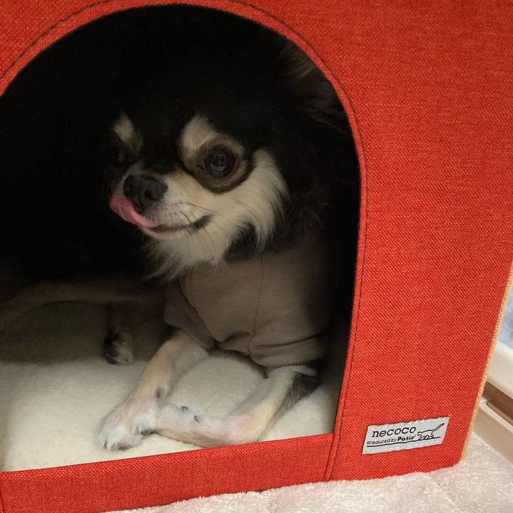 C4f5fae2 7d16 4d46 97fa 6507b6eaca2d 1638107608899