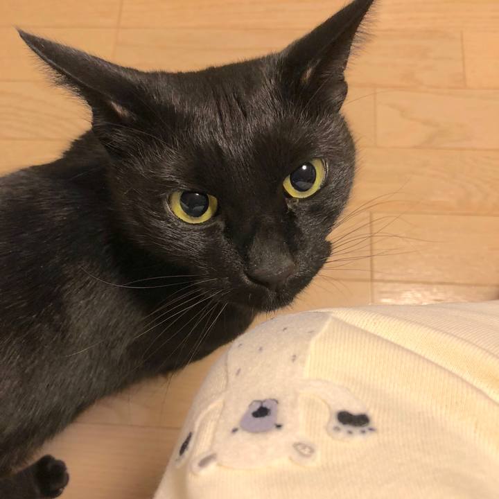 C4f5fb3a 6ea2 4812 8c0d b3f268155cd1 1515919991683