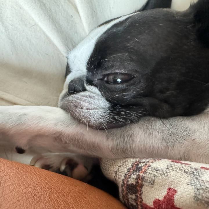 C4f64035 1d8e 4bdb abc0 25ed5d413d8f 1719125495916