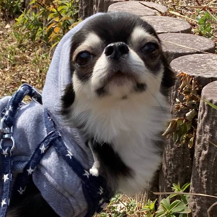 C4f6a385 e600 41dc 95be 9b633ffcc66d 1646204834515