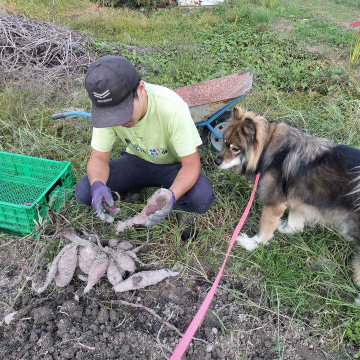 C4f6abc5 3ecc 49c6 910b 2b468a513790 1664612538298