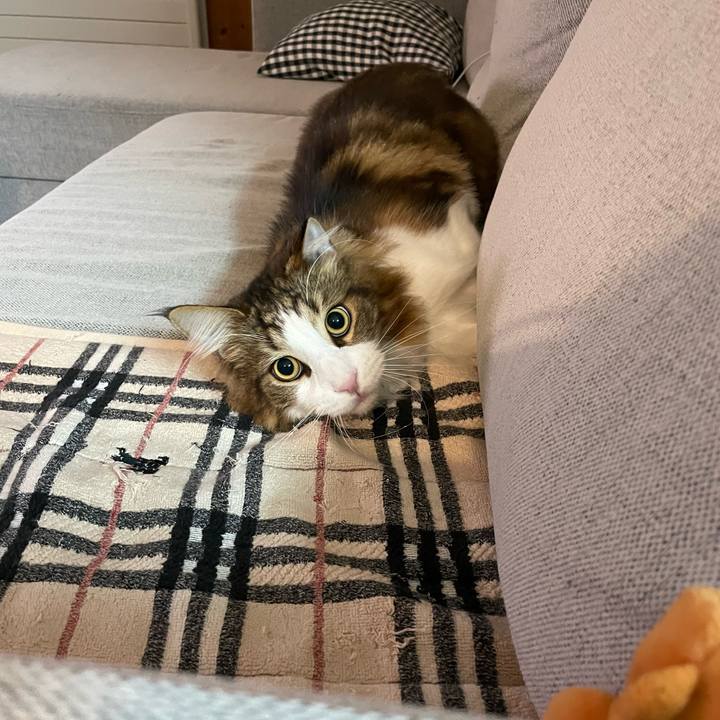 C4f6e89f ec9e 4432 8d06 58ac4308c72e 1665432902105