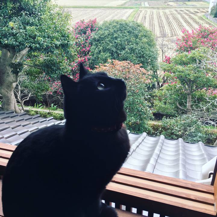 C4f700be 6923 47e9 ae9b a329176fa247 1544319199939