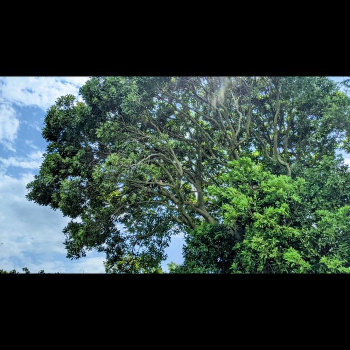 C4f701d9 9abf 44d0 98ba 04007aa64187 1626055099397