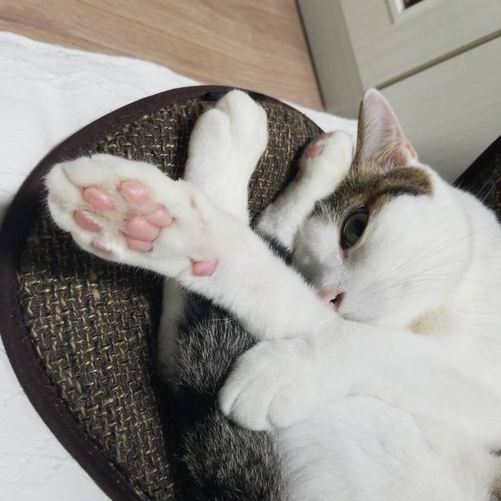 C4f70839 1f4f 4133 bc47 e6de9651a676 1593815393024