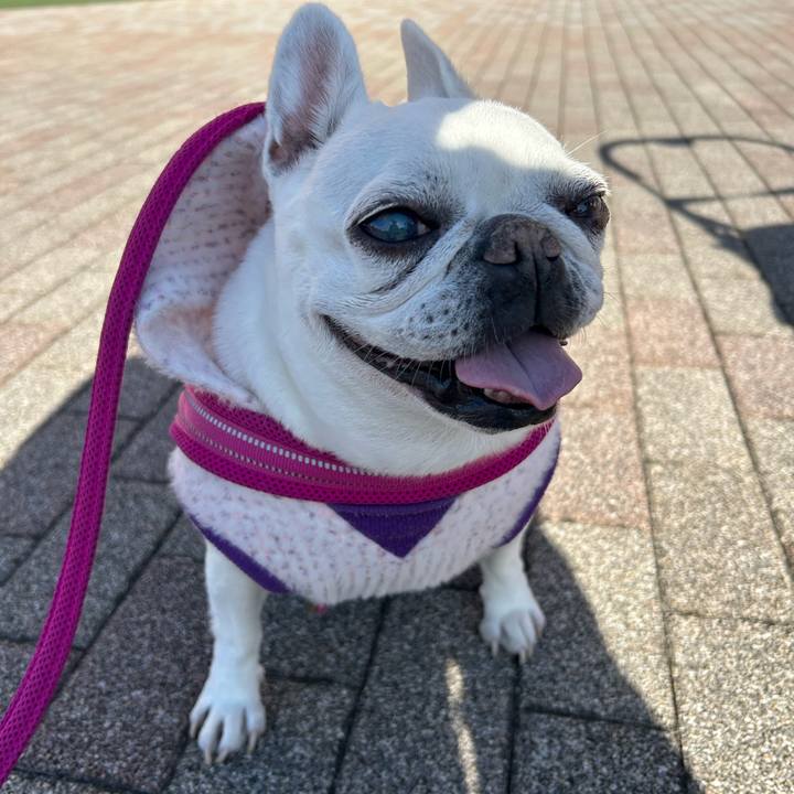 C4f70e54 0edb 40a4 8a81 7d272d7b7c67 1734851193230